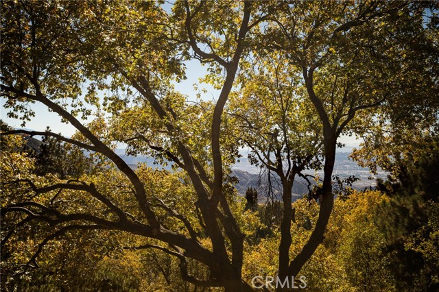 2461 Spring Oak Drive, Running Springs CA: https://media.crmls.org/medias/8daadd2d-5dc7-4691-a369-fbcb8656b86a.jpg