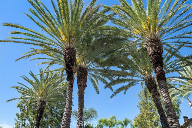 Detail Gallery Image 5 of 25 For 26469 Portola, Mission Viejo,  CA 92692 - 2 Beds | 2 Baths