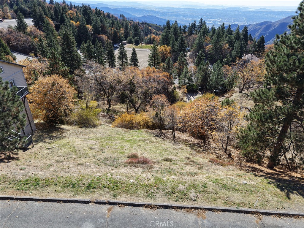 MLS #IG25271435 image #5