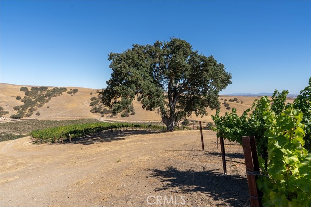 5790 Hog Canyon Road, San Miguel CA: https://media.crmls.org/medias/8db0c7db-db8d-44ef-aa2a-9d3474c202e3.jpg