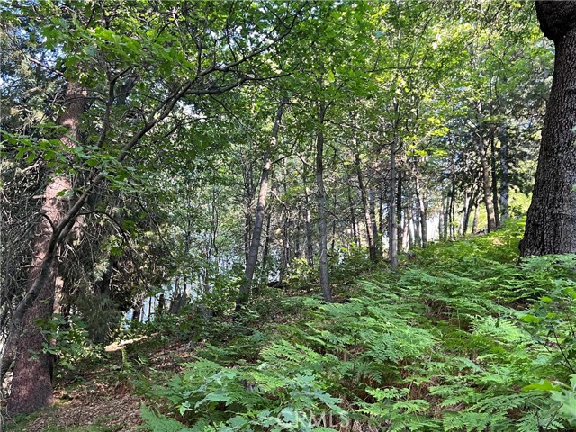27453 North Bay Road, Lake Arrowhead CA: https://media.crmls.org/medias/8db29f52-7c53-4764-9510-833a9c2b92c0.jpg