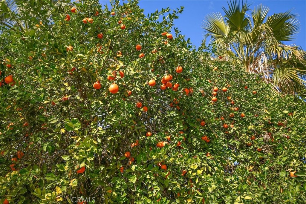 MLS #IG25262953 image #37