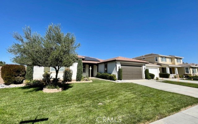 8dba38ae 46c3 4e1f 9c8b 60327cfd776f