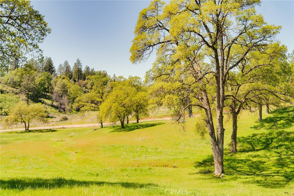https://media.crmls.org/medias/8dbe075d-3b78-4bdc-9d03-cd4d853fa09c.jpg?preset=X-Large