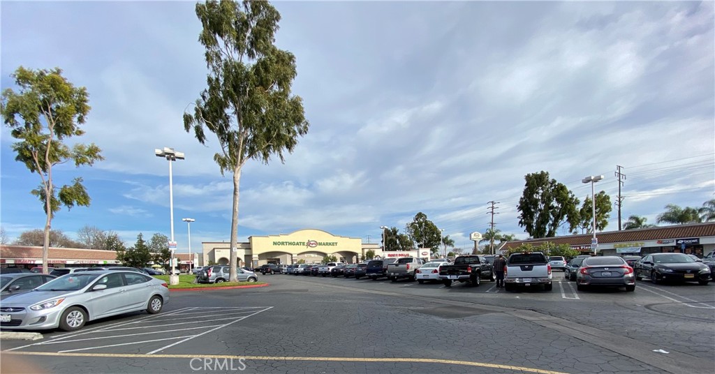 MLS #TR25241115 image #26