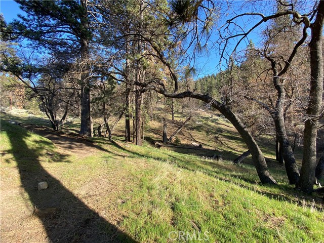 Detail Gallery Image 43 of 46 For 16810 Grindelwald Dr, Tehachapi,  CA 93561 - 3 Beds | 2 Baths