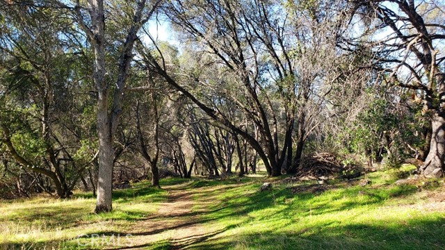 Detail Gallery Image 3 of 15 For 0 Unassigned Boyer Rd, Mariposa,  CA 95338 - – Beds | – Baths