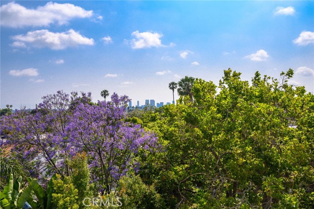 Detail Gallery Image 69 of 75 For 520 N Curson Ave, Los Angeles,  CA 90036 - 4 Beds | 4 Baths