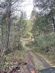 Detail Gallery Image 6 of 7 For 178 Bloomer Hill Rd, Berry Creek,  CA 95916 - – Beds | – Baths