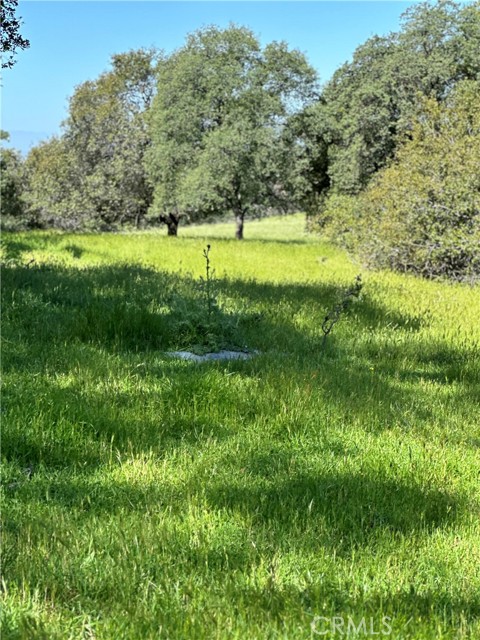 Detail Gallery Image 29 of 30 For 268 Dunstone Dr, Oroville,  CA 95966 - – Beds | – Baths