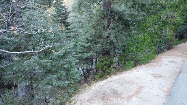 0 Lake Forest/boulder, Twin Peaks, CA, 92391 0 Lake Forest/boulder, Twin Peaks, CA, 92391