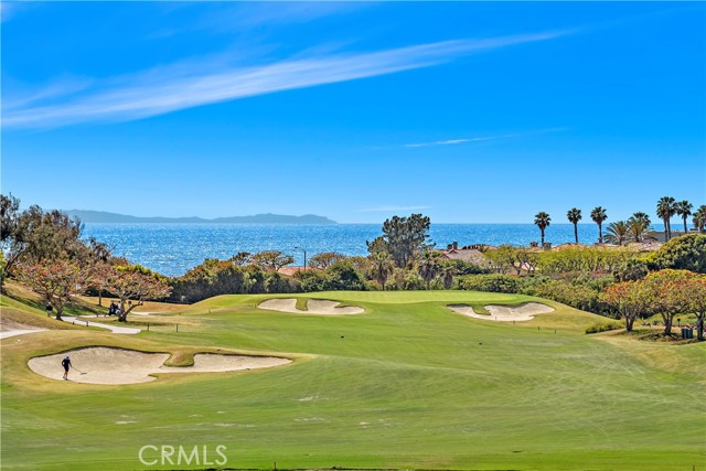 Detail Gallery Image 56 of 58 For 8 Forest Hills Ct, Dana Point,  CA 92629 - 2 Beds | 2 Baths