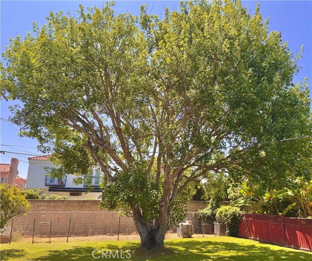 20282 Bayview Avenue, Newport Beach CA: https://media.crmls.org/medias/8dd9b009-1f47-4988-a629-4843077ffe67.jpg