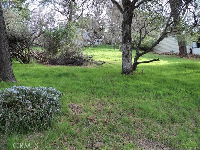 0 Silver Leaf Drive, Oroville, CA, 95966 0 Silver Leaf Drive, Oroville, CA, 95966