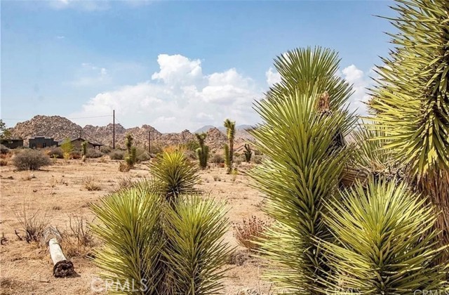 Detail Gallery Image 10 of 16 For 5545 Red Ryder, Pioneertown,  CA 92268 - – Beds | – Baths