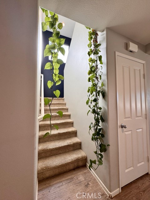 MLS #SW25269868 image #23