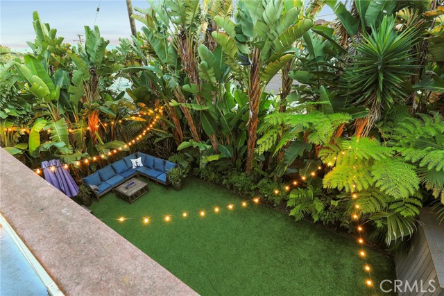 Beautifully lush Tropical backyard with charming bistro lights.