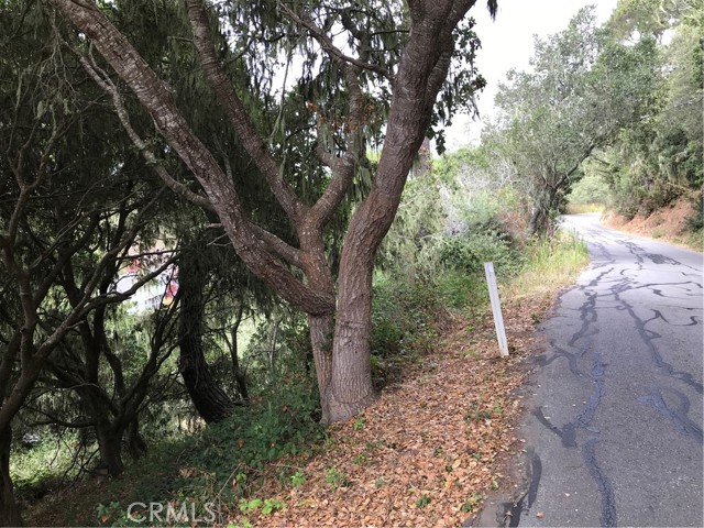 0 Hillcrest Drive, Cambria, California 93428, ,Land,For Sale,0 Hillcrest Drive,CRSC22073549