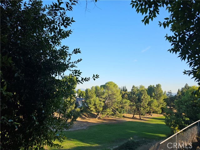 Backs To 5th Hole