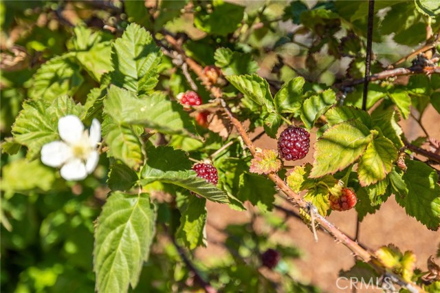 27783 Palos Verdes Drive, Rancho Palos Verdes, California 90275, 3 Bedrooms Bedrooms, ,3 BathroomsBathrooms,Residential,Sold,Palos Verdes Drive,OC22099696