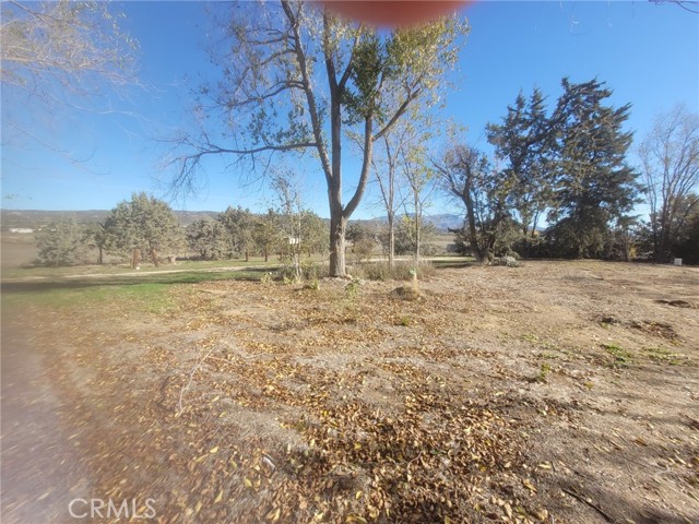 Detail Gallery Image 28 of 38 For 59300 Norman Hills Rd, Anza,  CA 92539 - 2 Beds | 1 Baths