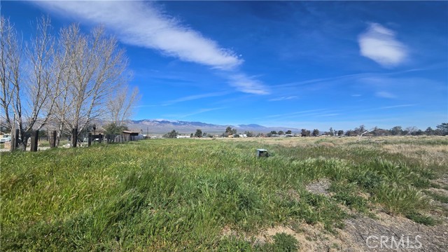 Detail Gallery Image 8 of 27 For 0 Lancaster Rd/Hwy 138 Vic 284th St W, –,  CA 93536 - – Beds | – Baths