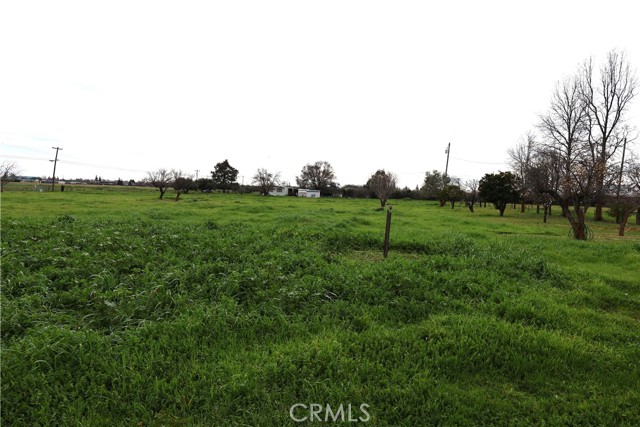 Detail Gallery Image 42 of 52 For 4909 Edith Ave, Corning,  CA 96021 - 6 Beds | 3 Baths