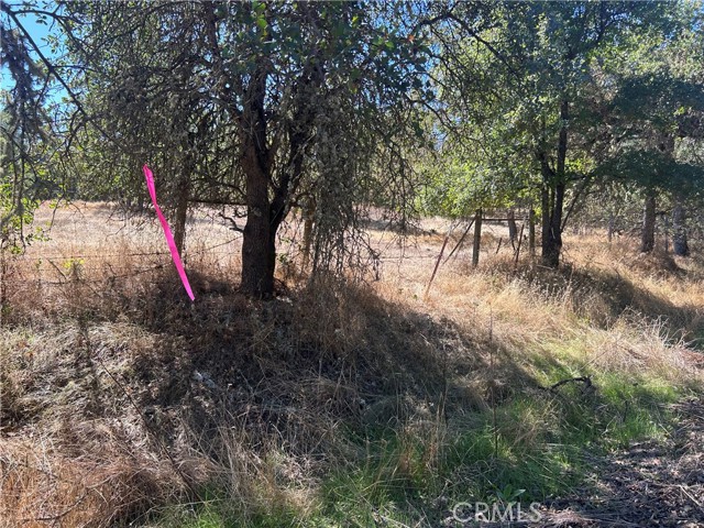 Detail Gallery Image 13 of 20 For 1000 Eva Way, Lakeport,  CA 95453 - – Beds | – Baths