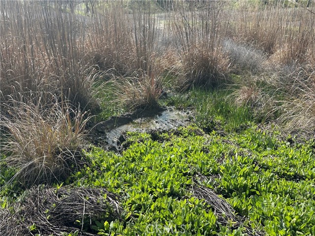 Detail Gallery Image 19 of 23 For 25156 E State Hwy 20, Clearlake Oaks,  CA 95423 - – Beds | – Baths