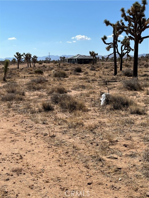 Detail Gallery Image 8 of 11 For 2801 Avalon Ave, Yucca Valley,  CA 92284 - – Beds | – Baths