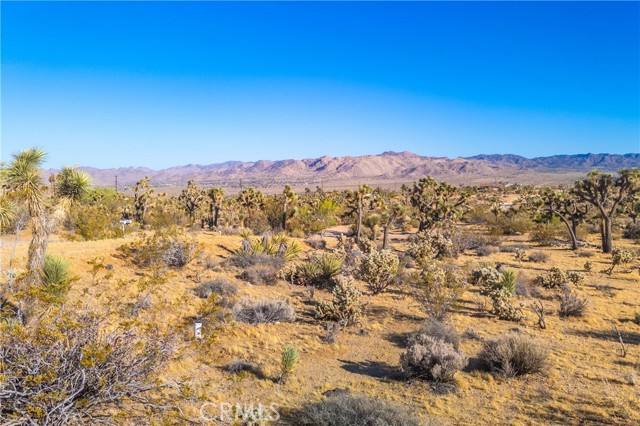 Detail Gallery Image 46 of 75 For 58871 Meredith Ct, Yucca Valley,  CA 92284 - 3 Beds | 2 Baths