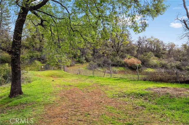 Detail Gallery Image 24 of 57 For 0 Canyon Creek Rd, Berry Creek,  CA 95916 - 1 Beds | 1 Baths