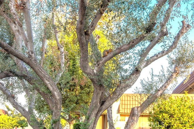 Image 73 of 74 For 11268 Morgen Way