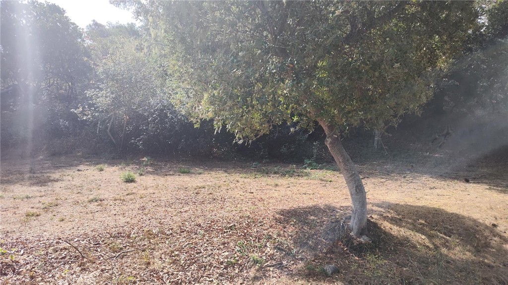 MLS #PI25222819 image #5