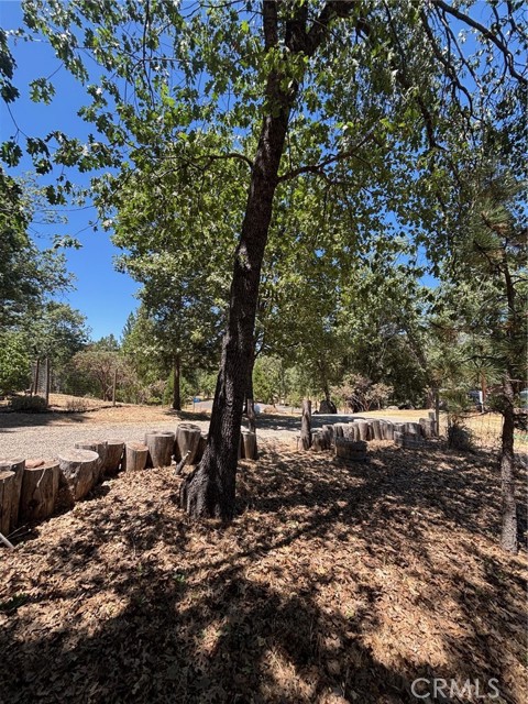 Detail Gallery Image 9 of 31 For 5615 Silver Strand Fall, Mariposa,  CA 95338 - 3 Beds | 2 Baths