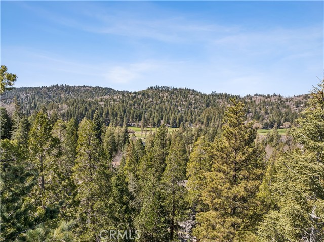 Detail Gallery Image 46 of 47 For 460 Pioneer Rd, Lake Arrowhead,  CA 92352 - 3 Beds | 1/2 Baths