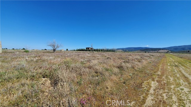 Detail Gallery Image 10 of 24 For 0 263rd St West North of Ave C13, –,  CA 93536 - – Beds | – Baths