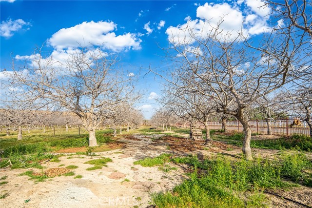 Image 50 of 73 For 31516 Clay River Road