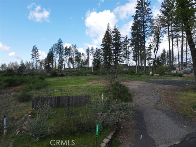 Image 13 of 20 For 6291 Harvey  