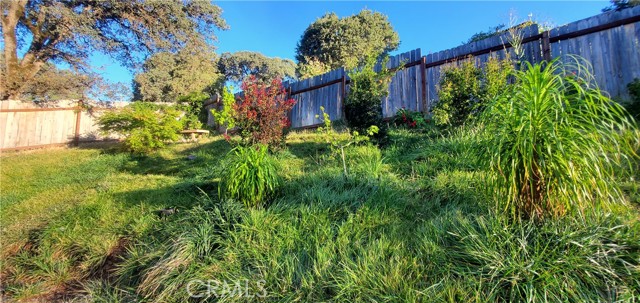 10458 Chatten Ct, Lake County, CA 95423 photo 4