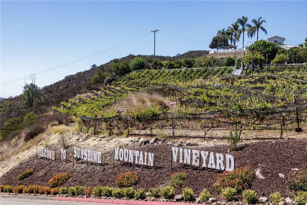 MLS #OC25023879 image #47