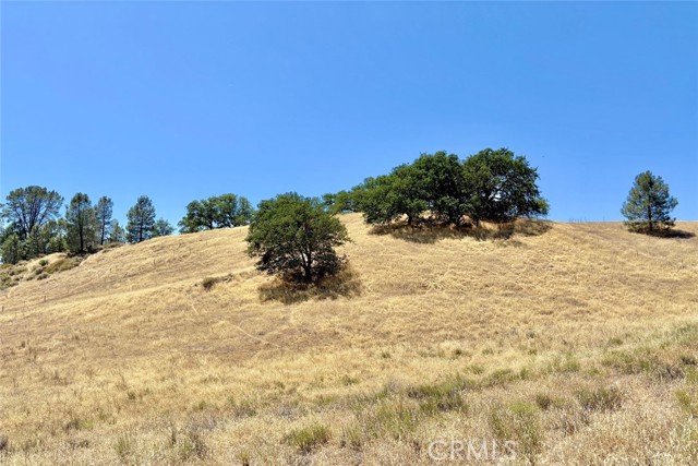 Detail Gallery Image 6 of 17 For 0 Bryson Hesperia Rd, Bradley,  CA 93426 - – Beds | – Baths