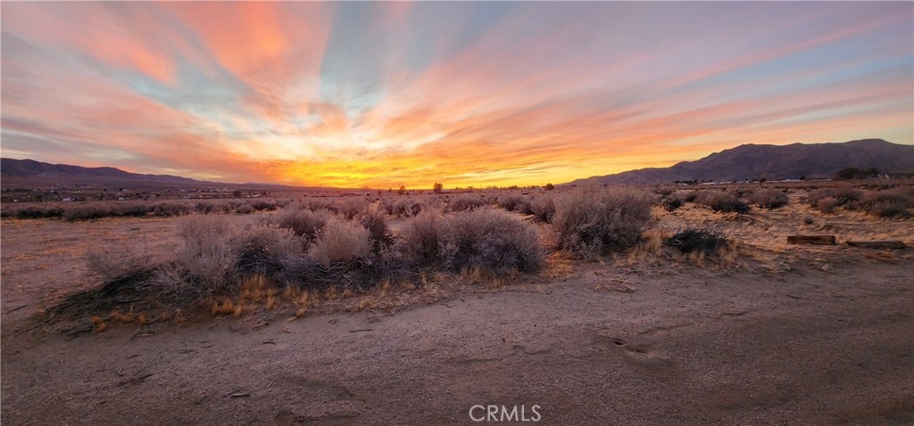 MLS #IV25049226 img 2