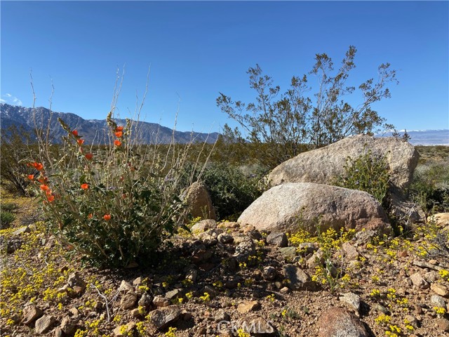 Detail Gallery Image 71 of 75 For 330 Sage Flats Dr, Olancha,  CA 93549 - 3 Beds | 2 Baths