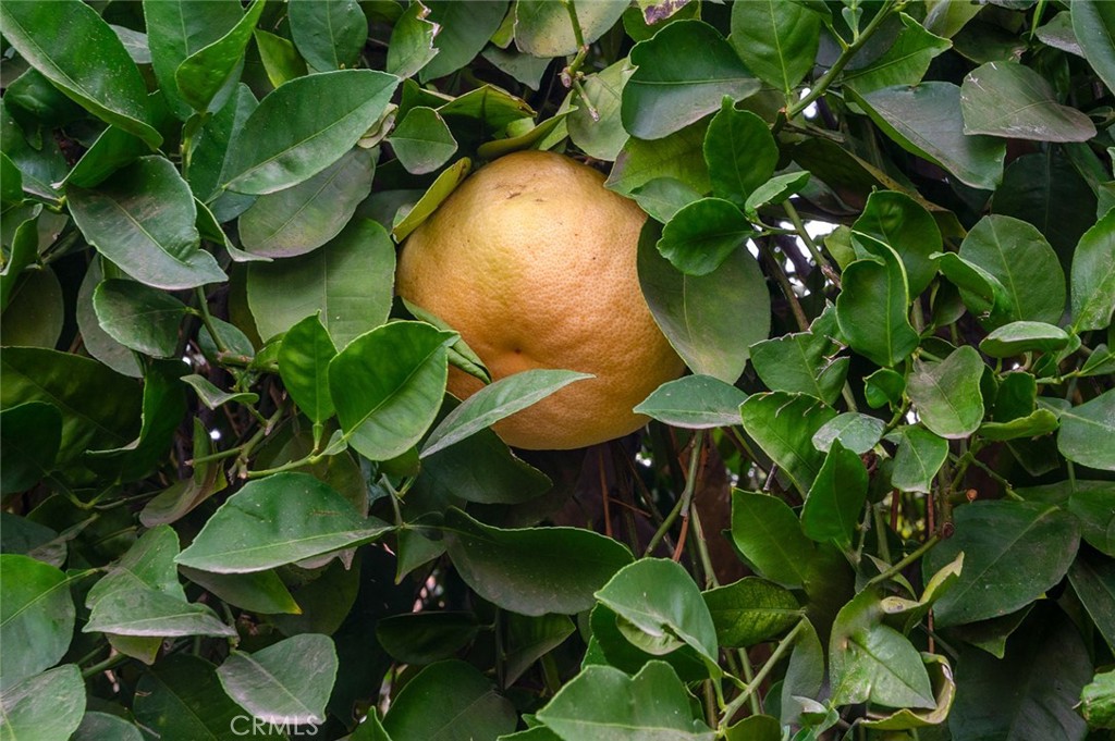 https://media.crmls.org/medias/8e52febe-6d0a-46e4-b7ae-424ac83b55a8.jpg?preset=X-Large