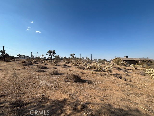 MLS #JT25181795 image #6