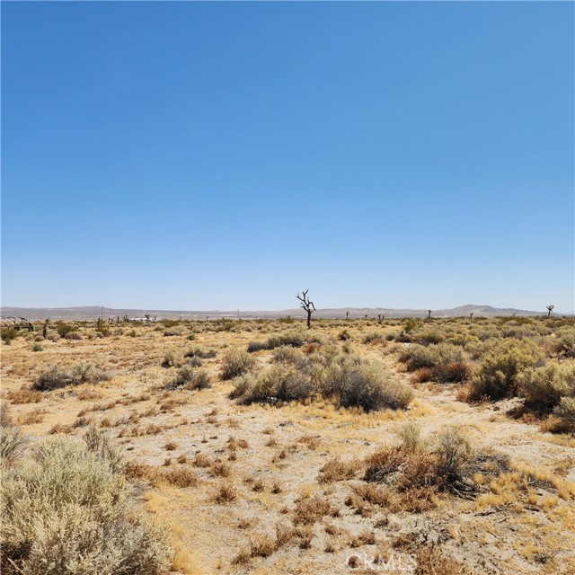 Front Image Thumbnail for CRHD25272954