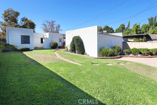 A nice grassy and spacious yard, fully enclosed.