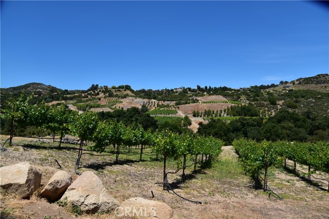 Detail Gallery Image 39 of 75 For 38280 via Majorca, Murrieta,  CA 92562 - 7 Beds | 7/2 Baths