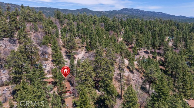 352 Big Bear Trail, Fawnskin CA: https://media.crmls.org/medias/8e63f175-cee4-4ec2-881d-1087c90527fa.jpg